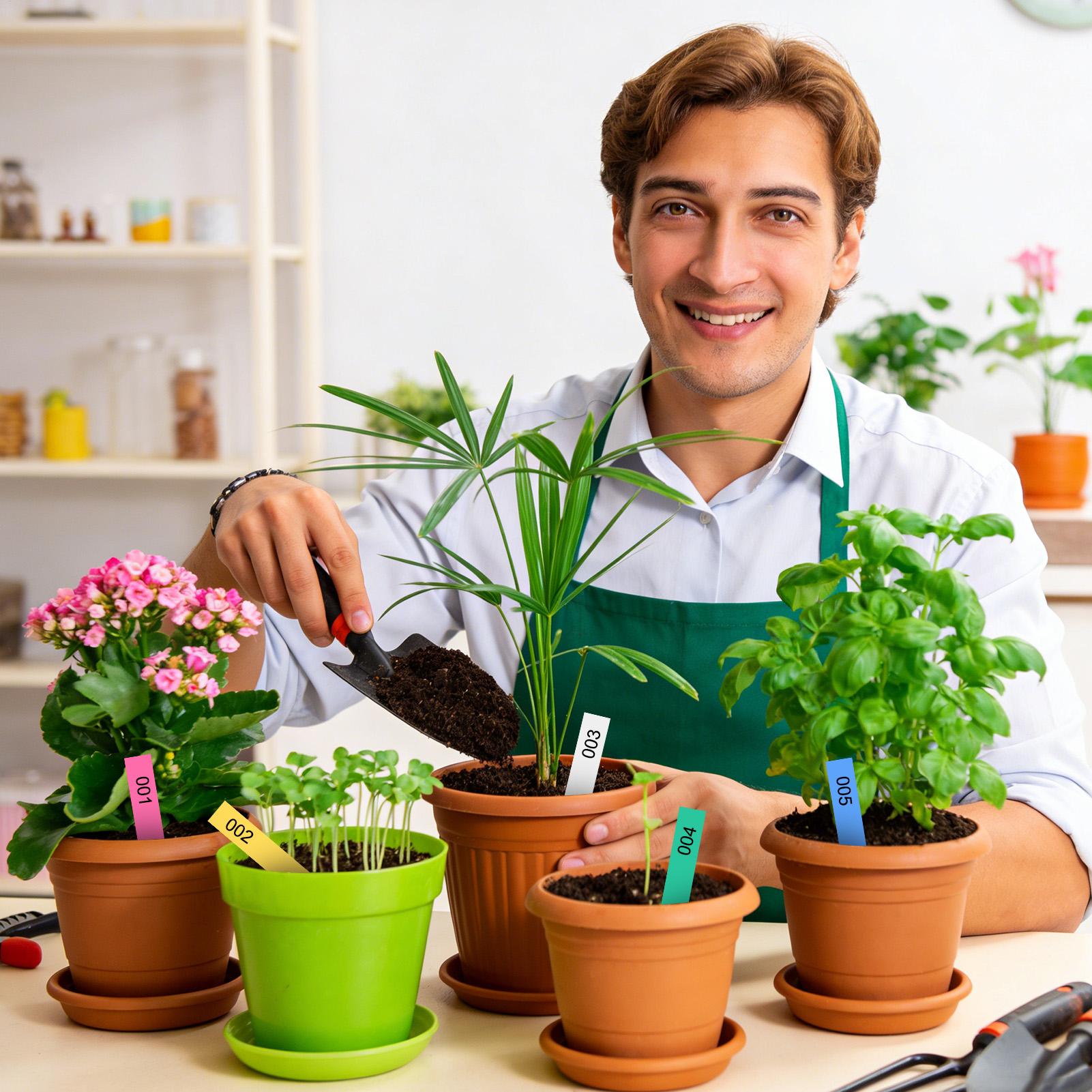 500 Adet Bitki Etiketleri Bahç - Garden Label Marker incelemesi ve fiyatı