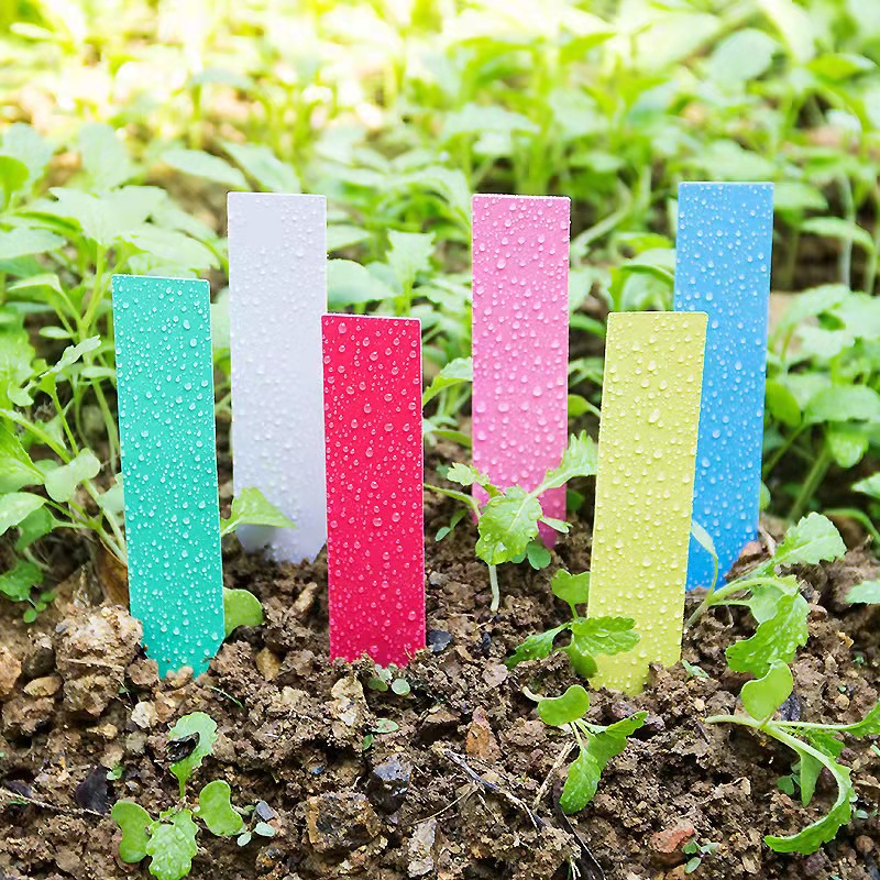 100 Adet Bahçe Bitki Etiketler - Garden Label Marker incelemesi ve fiyatı