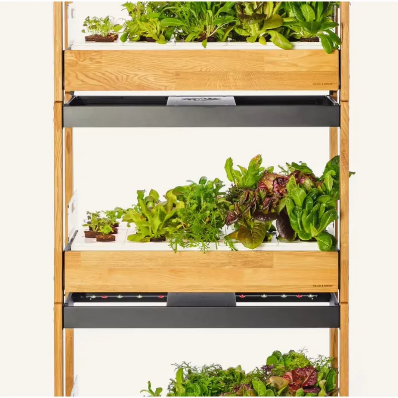 Sıcak Fırsat: Miras Sebze Yeti - Gardening Tools Kit For Sale incelemesi ve fiyatı