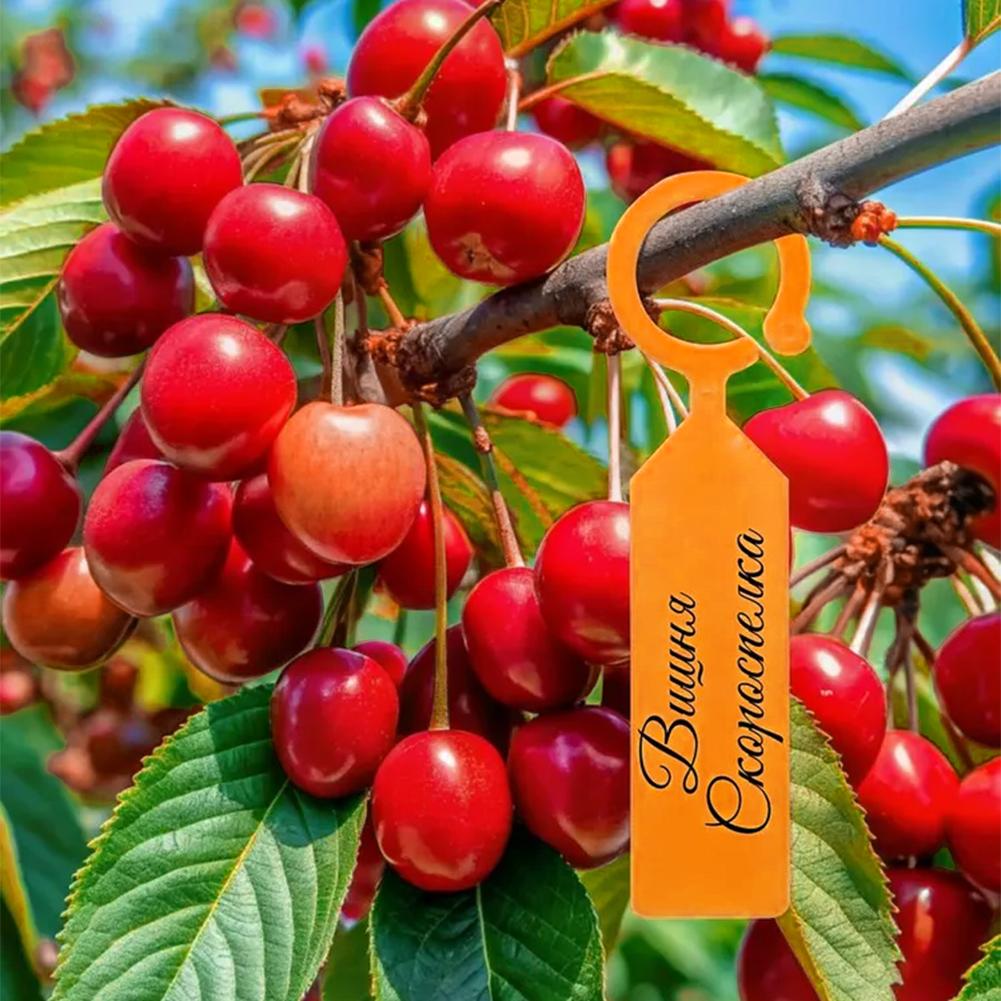 Bahçe Dikim Etiketi Halka Kanc - Garden Label Marker incelemesi ve fiyatı