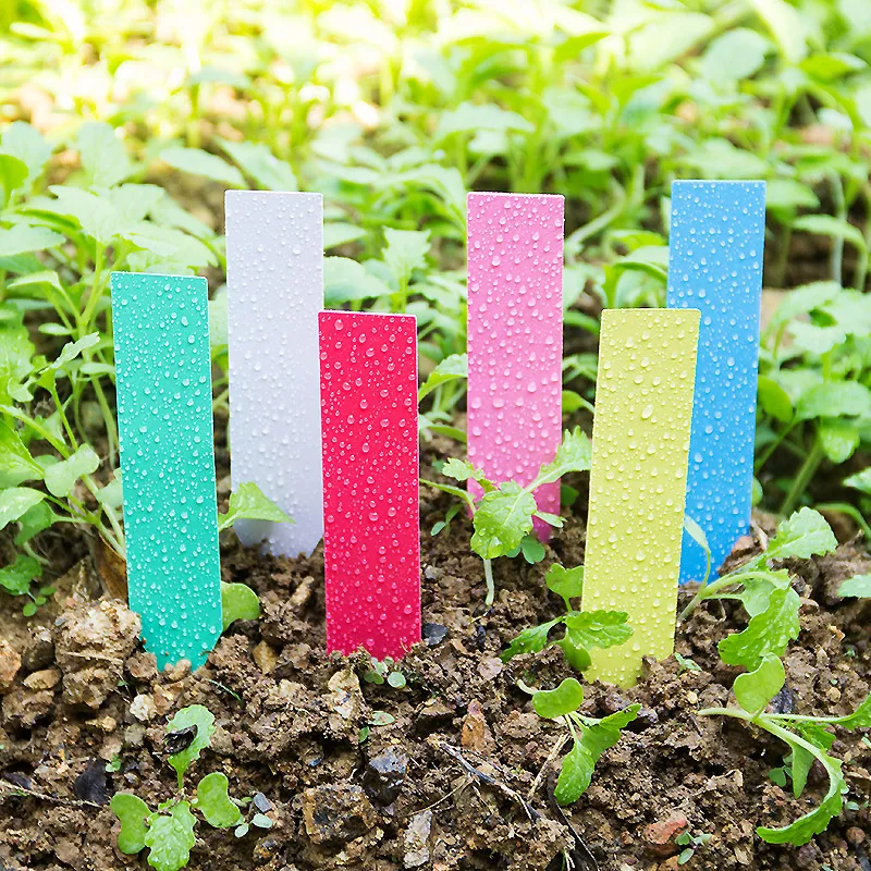 100 adet kalın 4 inç bitki eti - Garden Label Marker incelemesi ve fiyatı